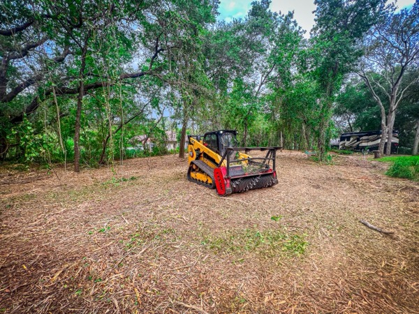 TreeShop land management project in Central Florida