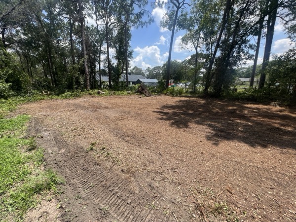 TreeShop land management project in Central Florida