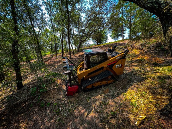 TreeShop land management project in Central Florida