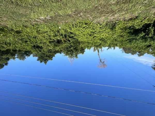 TreeShop land management project in Central Florida