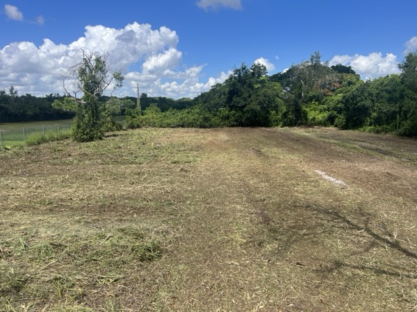 TreeShop land management project in Central Florida