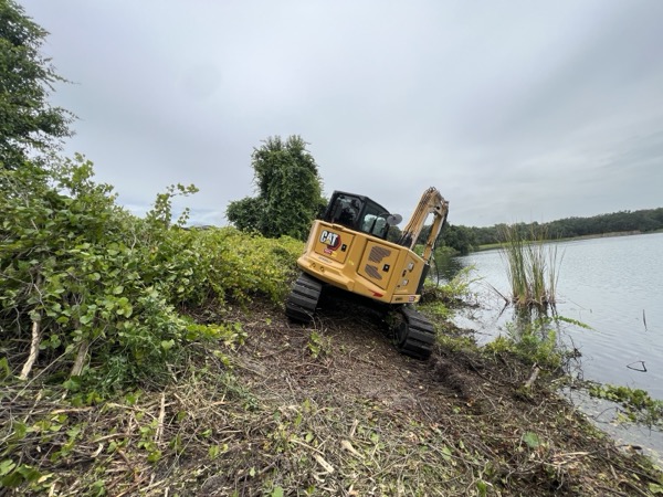 TreeShop land management project in Central Florida