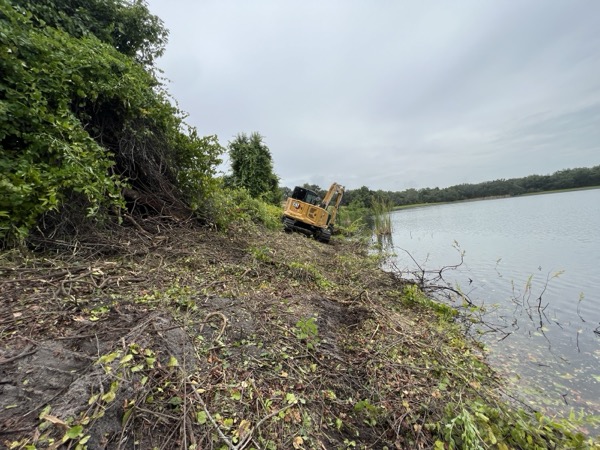 TreeShop land management project in Central Florida