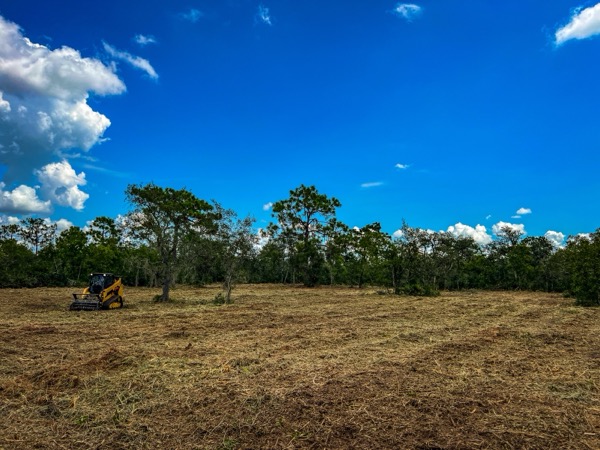 TreeShop land management project in Central Florida