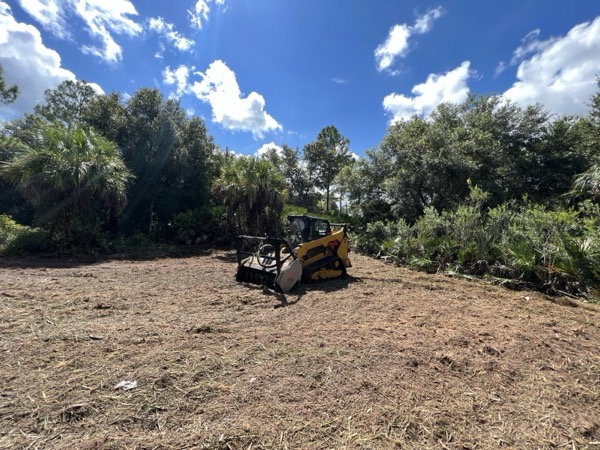 TreeShop land management project in Central Florida