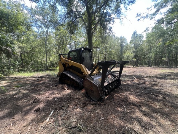 TreeShop land management project in Central Florida