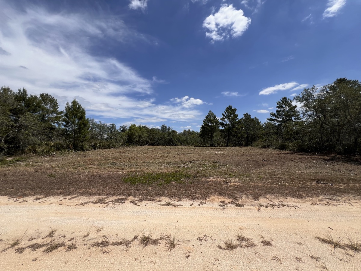 Cleared land with natural mulch after forestry mulching near Palm Bay Florida
