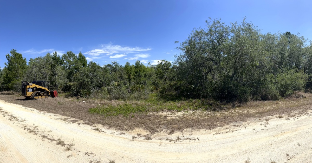 Dense overgrown vegetation before forestry mulching near Palm Bay Florida