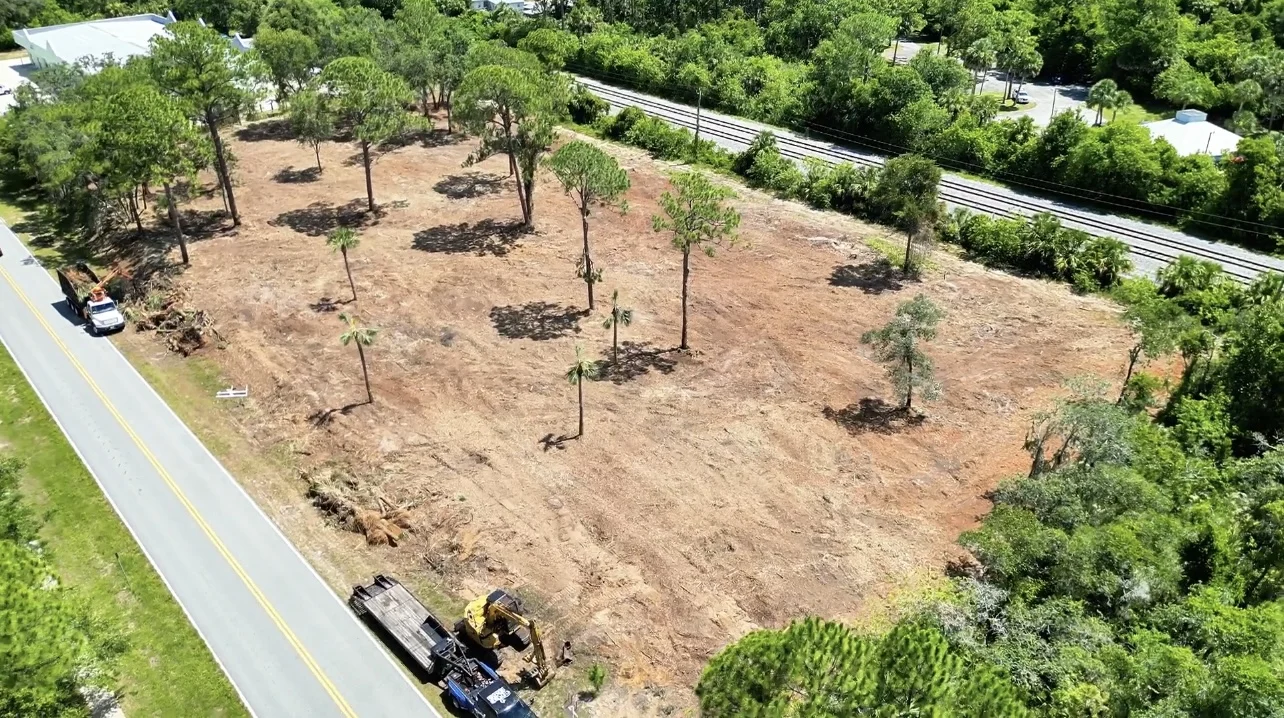Selective clearing results preserving mature trees Cocoa Beach Florida