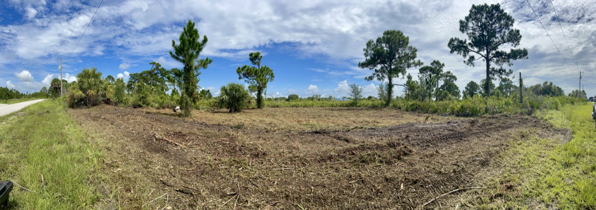 Completed forestry mulching project results near Palm Bay Florida
