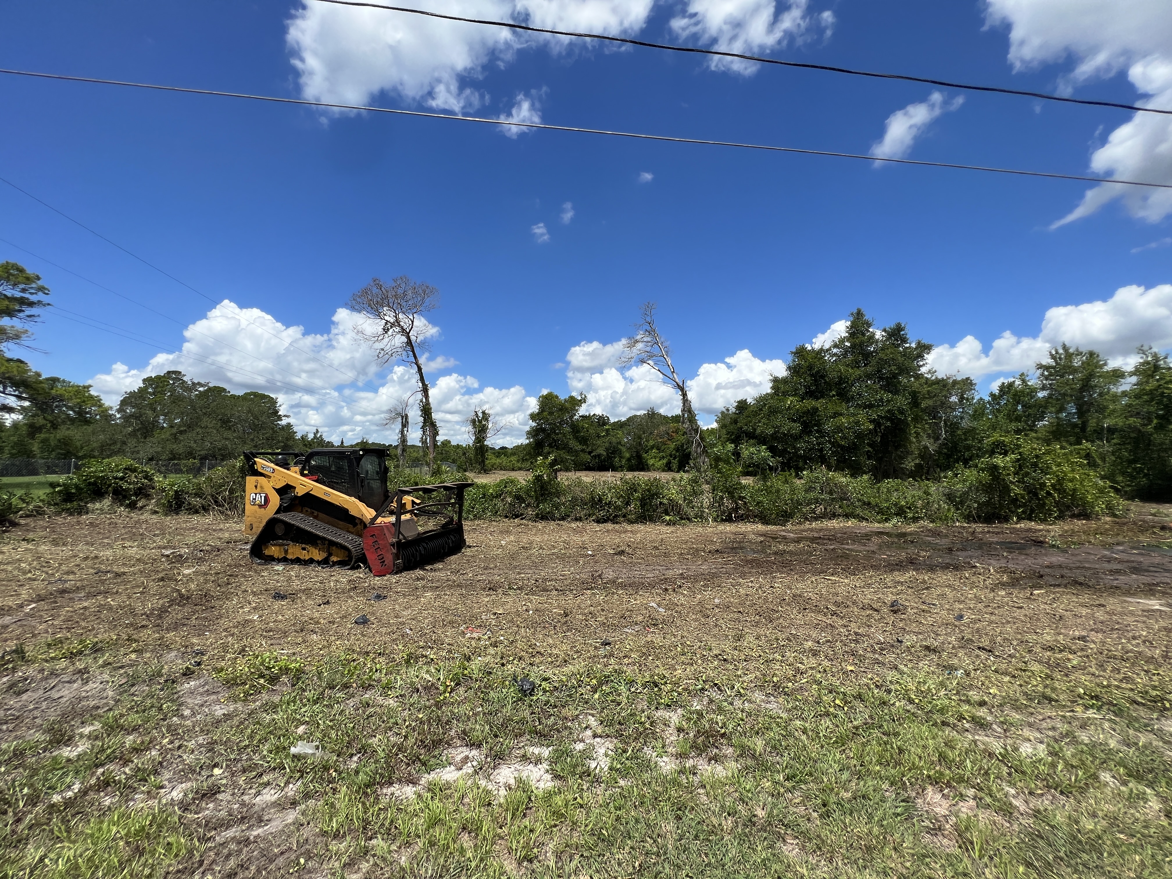 FECON Blackhawk forestry mulcher on CAT 299D3 in Central Florida