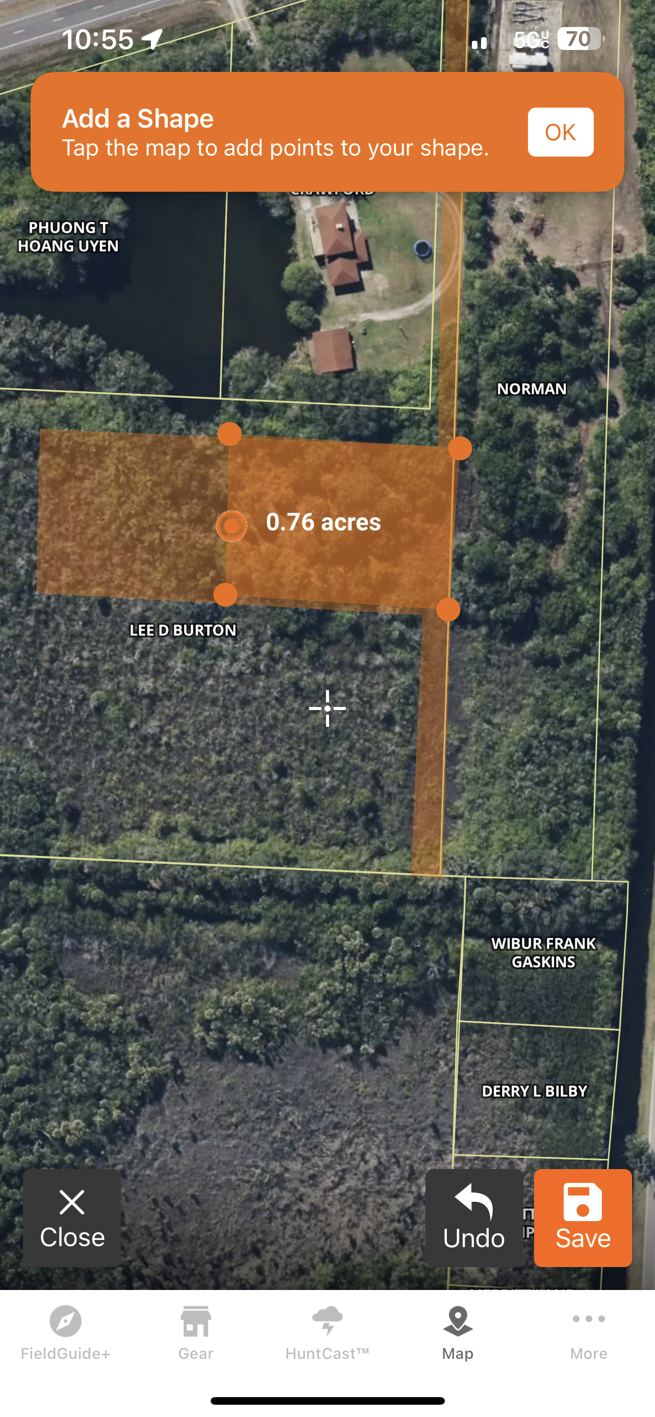 Dense overgrown vegetation before forestry mulching near Tampa Florida